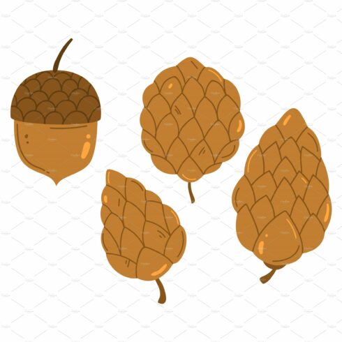 Acorn or pine tree cone vector cover image.