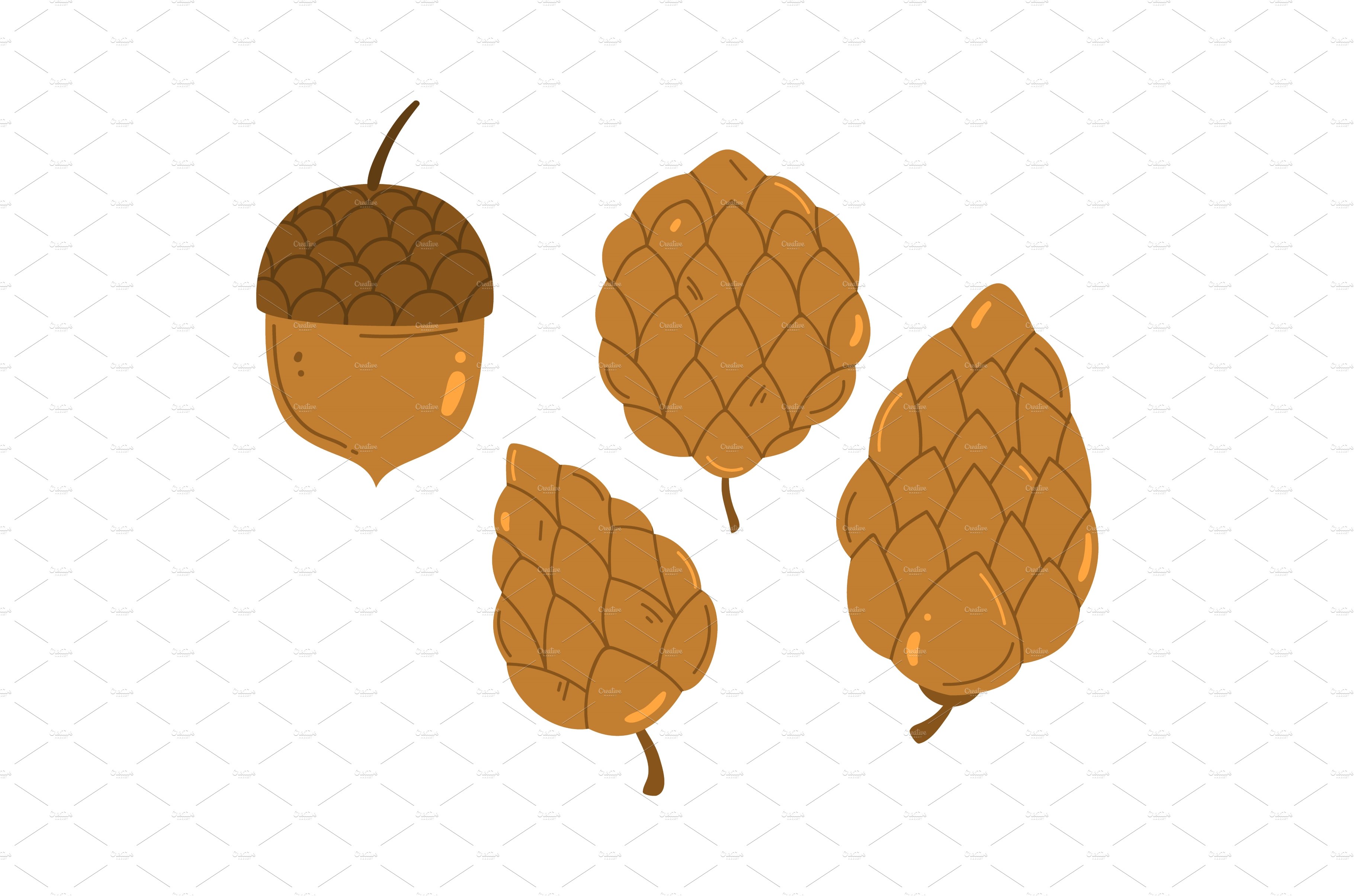 Acorn or pine tree cone vector cover image.