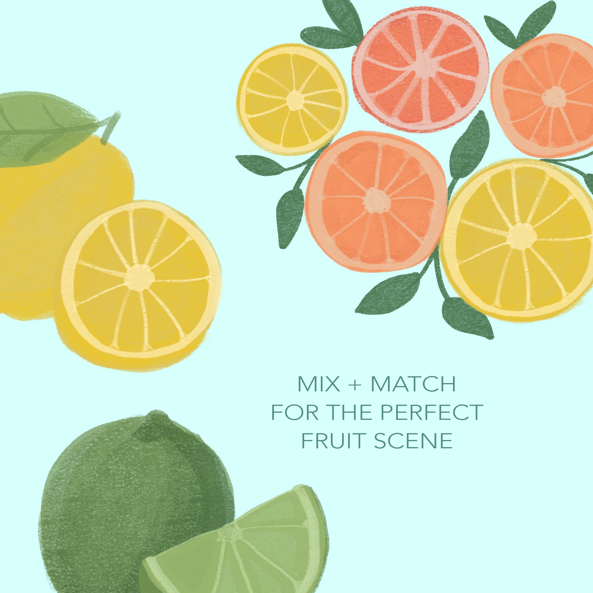 citrus fruit image5 copy 57
