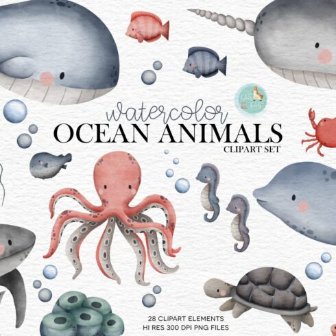 Ocean Animals cover image.
