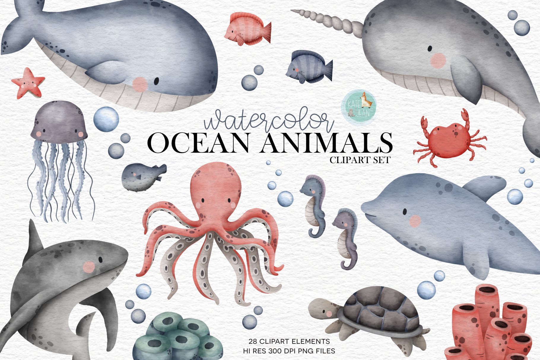 Ocean Animals cover image.