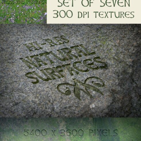 Moss and Stone textures cover image.