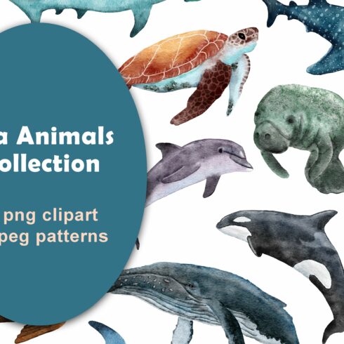 Sea Animals Clipart & Patterns cover image.