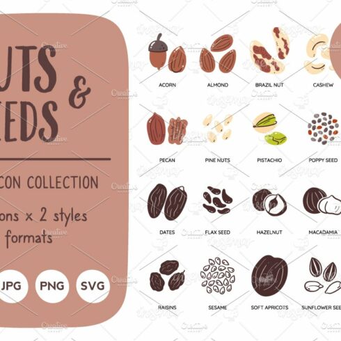 Nuts & Seeds Food Icon Set cover image.