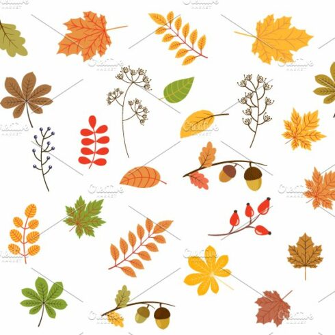 Autumn leaves clipart set cover image.