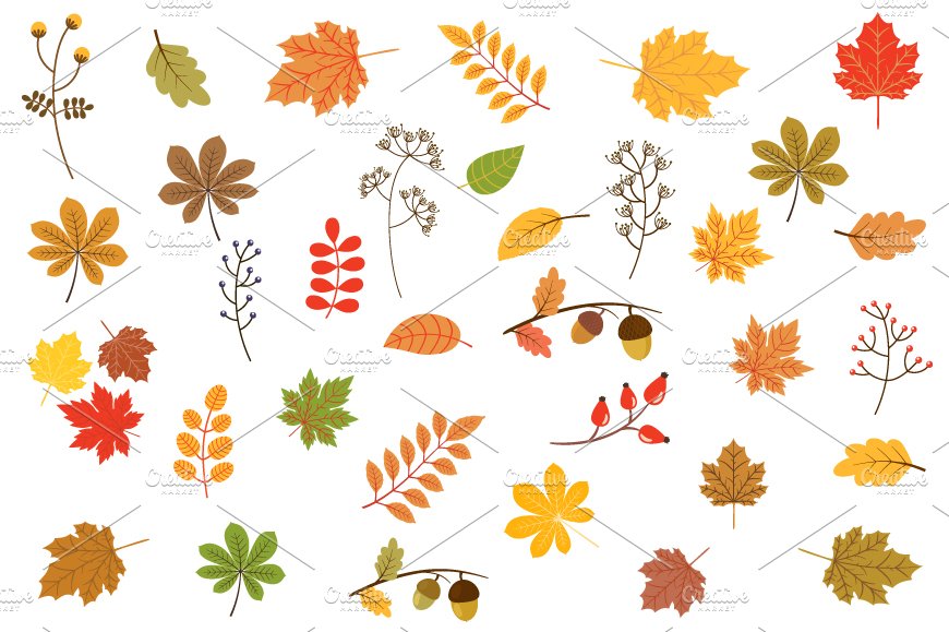 Autumn leaves clipart set cover image.