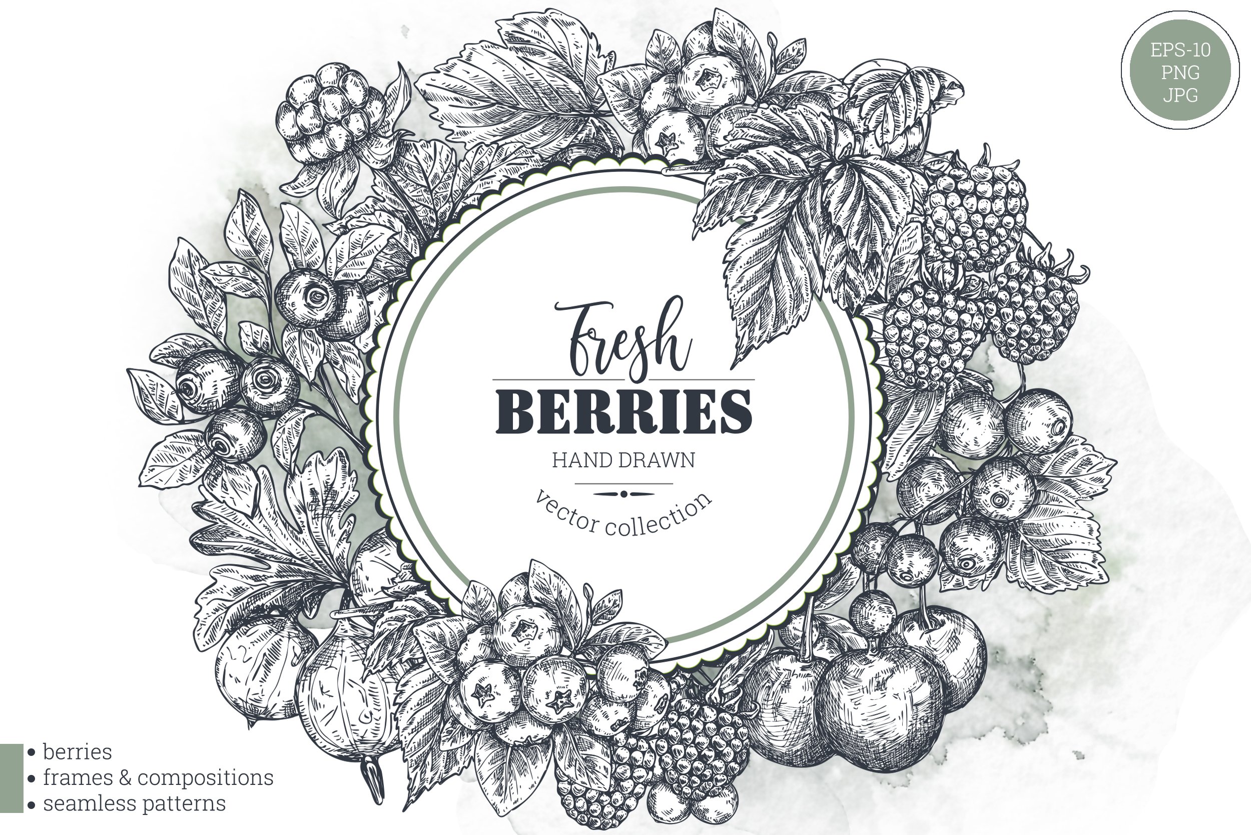 Berries vector collection cover image.