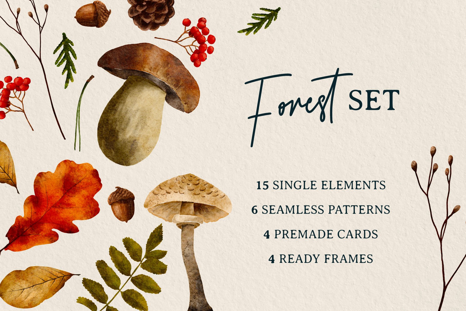 Forest & Autumn Vibrant Set cover image.
