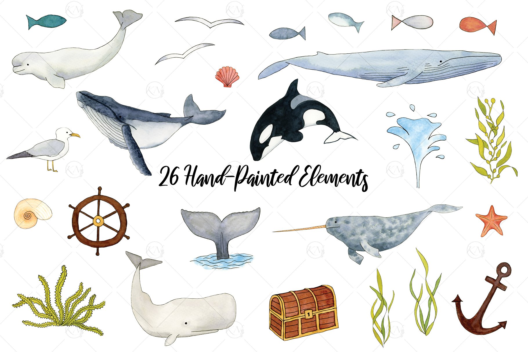 Watercolor Whales Graphics preview image.