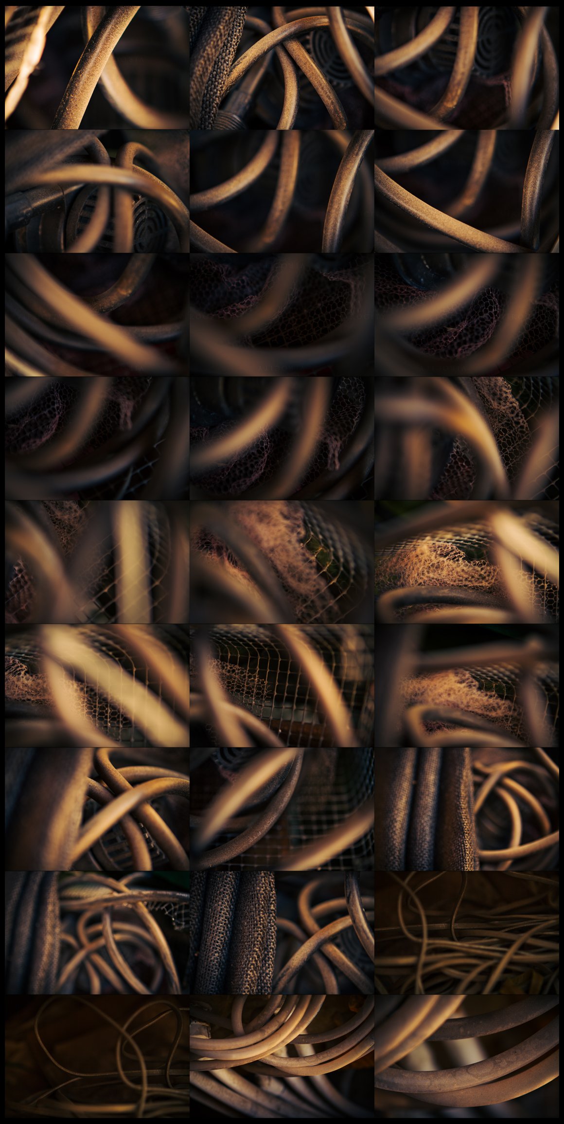 Coiled v2 Bronze preview image.