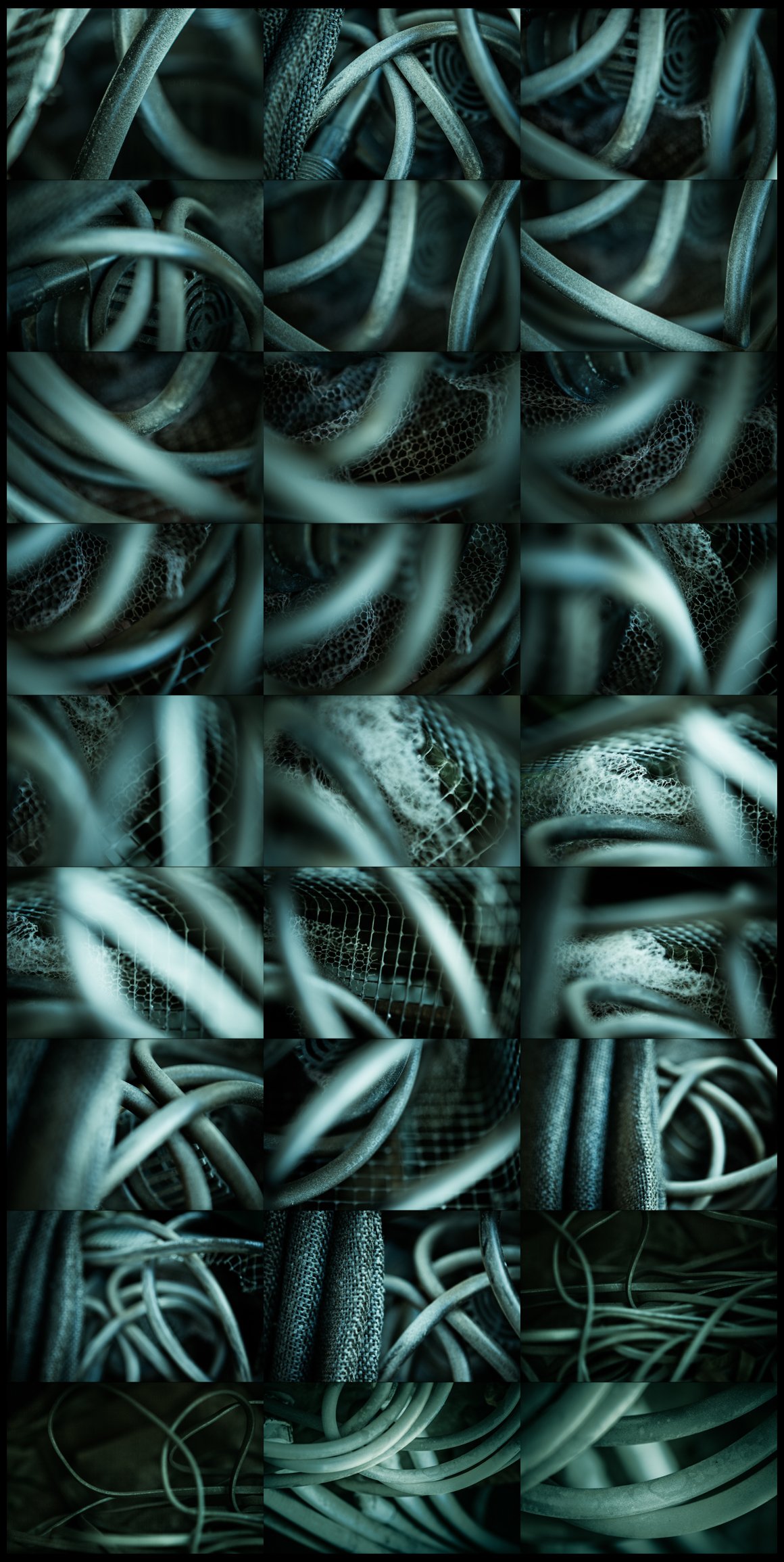 Coiled v2 Cyan preview image.