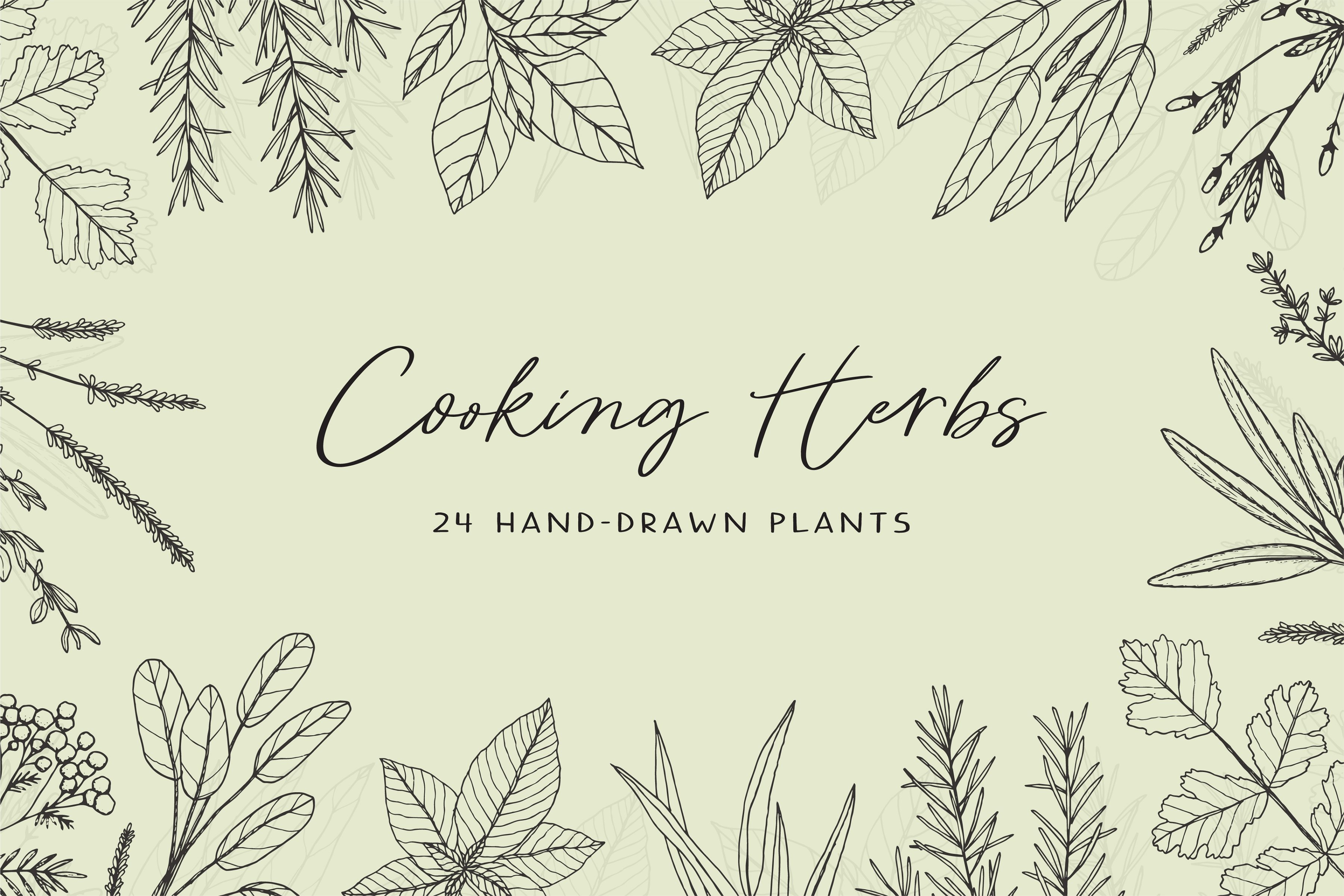 cooking herbs cover 988