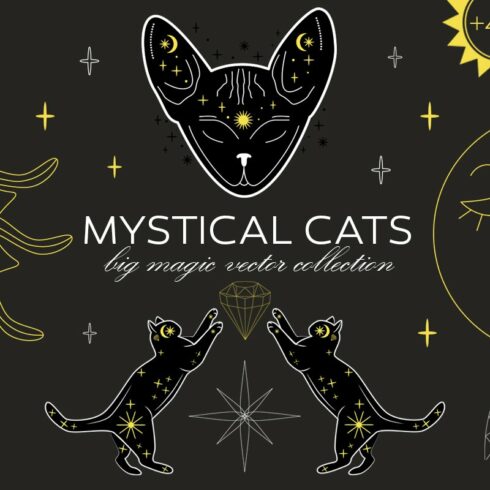 Mystical Cats. Lunar & celestial set cover image.
