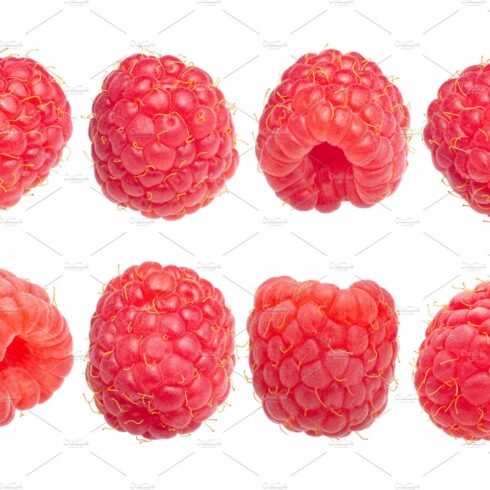 Raspberries cover image.