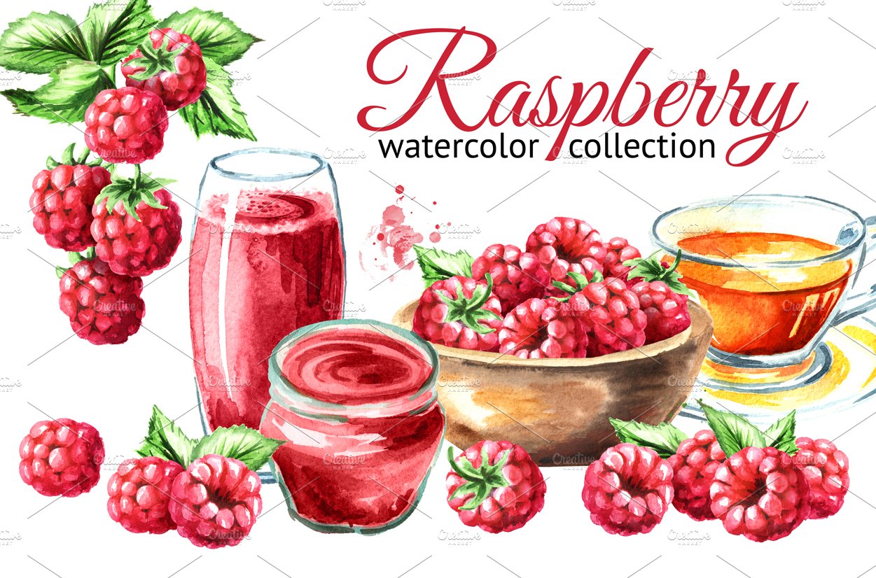 Raspberry. Watercolor collection cover image.