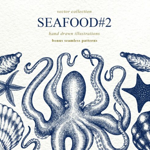 Seafood Vector Collection #2 cover image.
