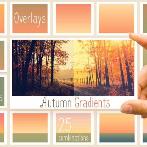 Autumn gradients cover image.