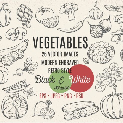 Vegetables in Modern Engraved Style cover image.