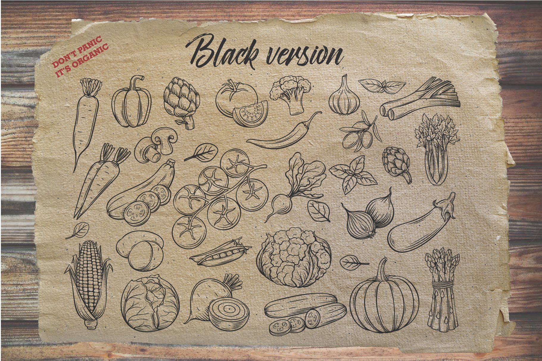 Vegetables in Modern Engraved Style preview image.