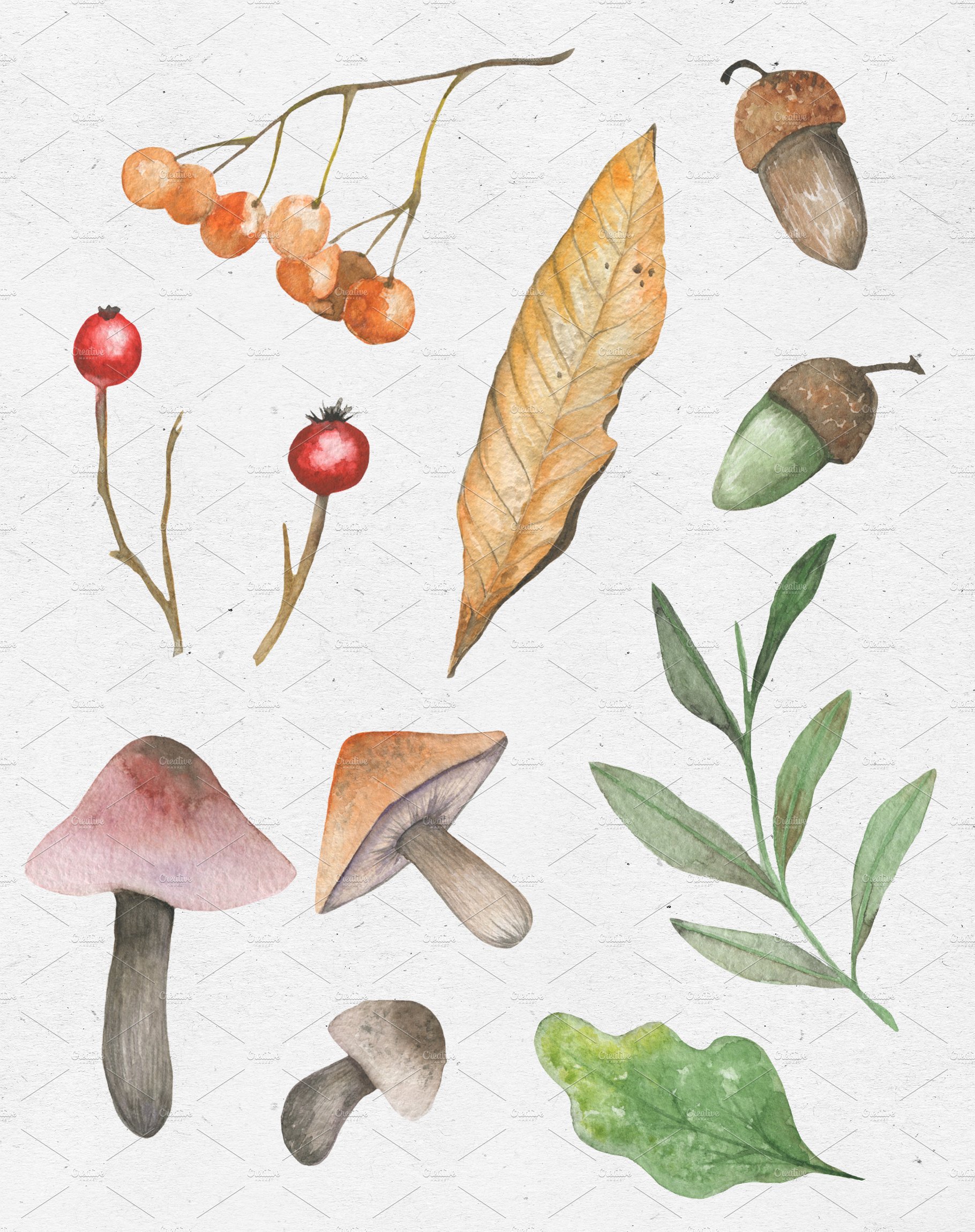 Autumn vibes. Watercolor set preview image.