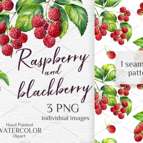 Watercolor raspberry and blackberry cover image.