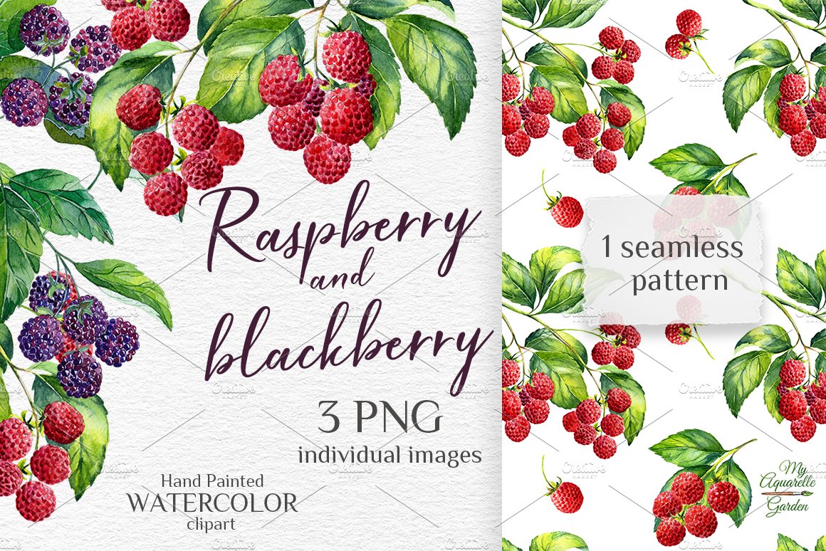 Watercolor raspberry and blackberry cover image.