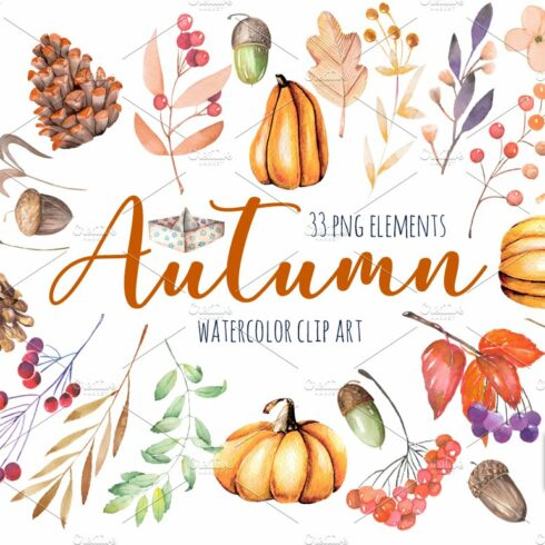 "Autumn". Floral 33 elements. cover image.