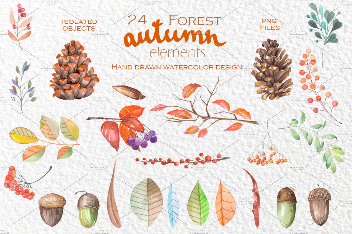 Autumn floral collection preview image.
