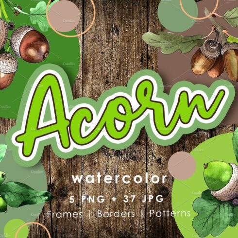 Acorn plant PNG watercolor set cover image.