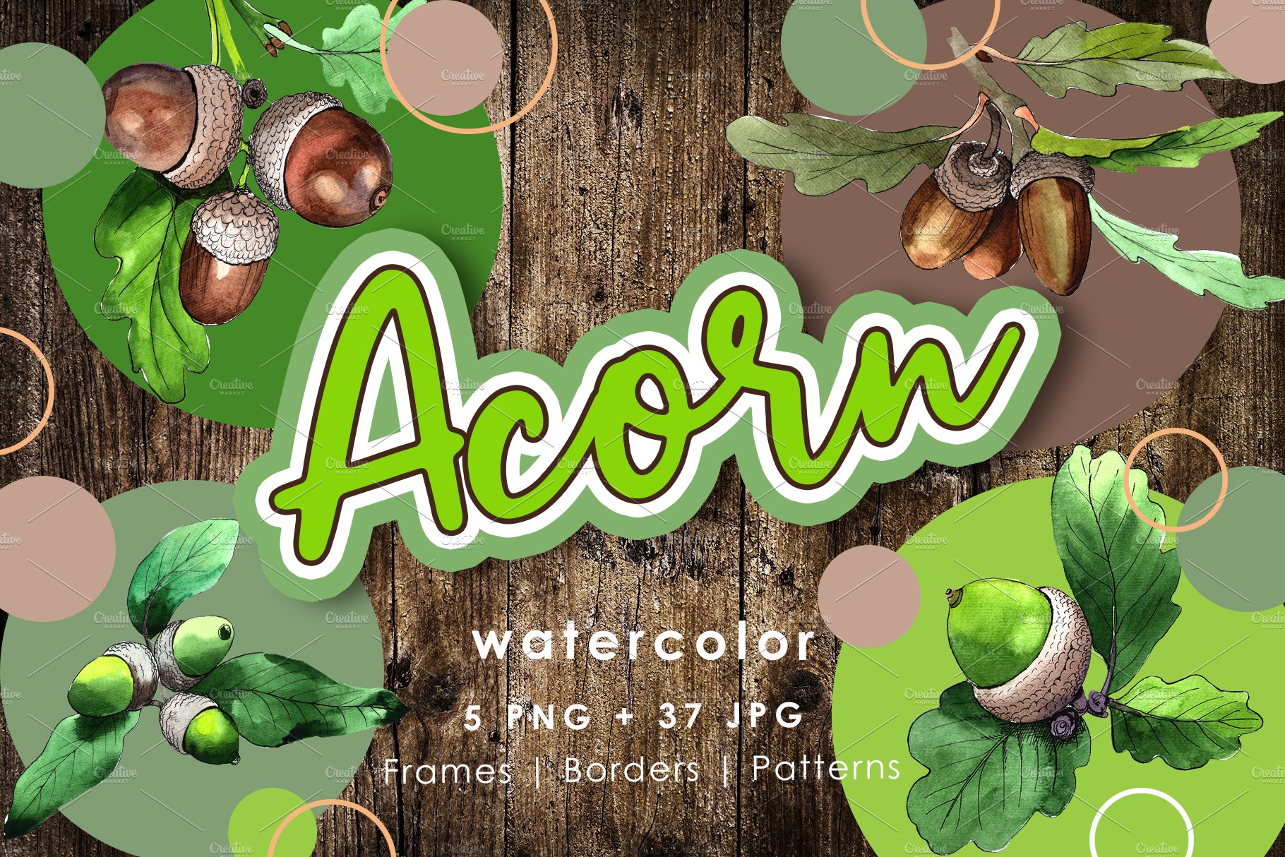 Acorn plant PNG watercolor set cover image.