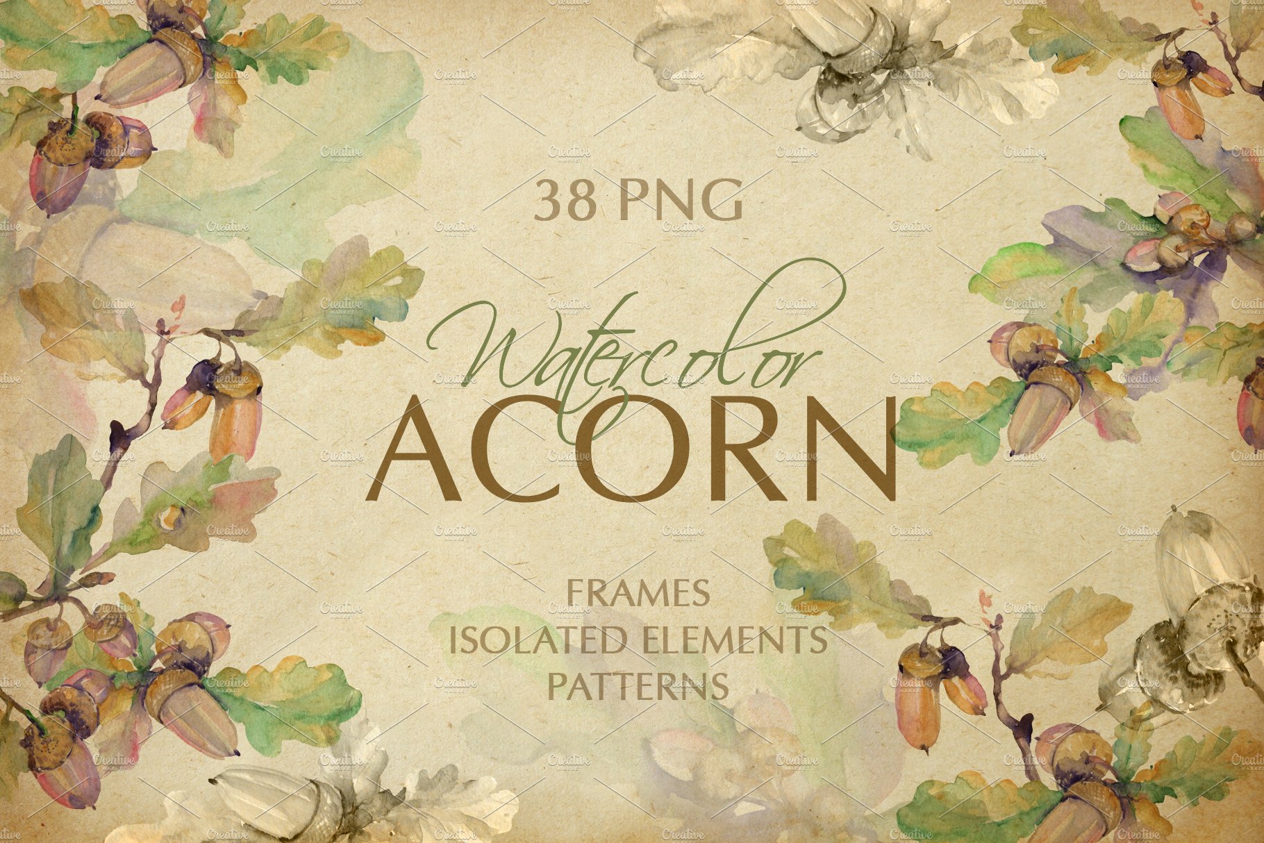 Acorn Watercolor png cover image.