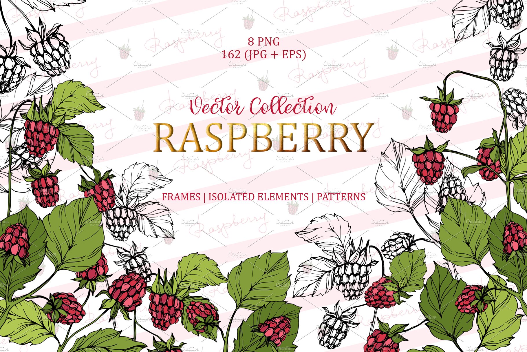 Raspberry Vector Collection cover image.