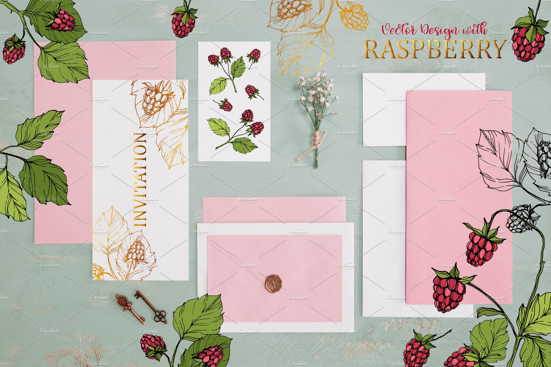 Raspberry Vector Collection preview image.