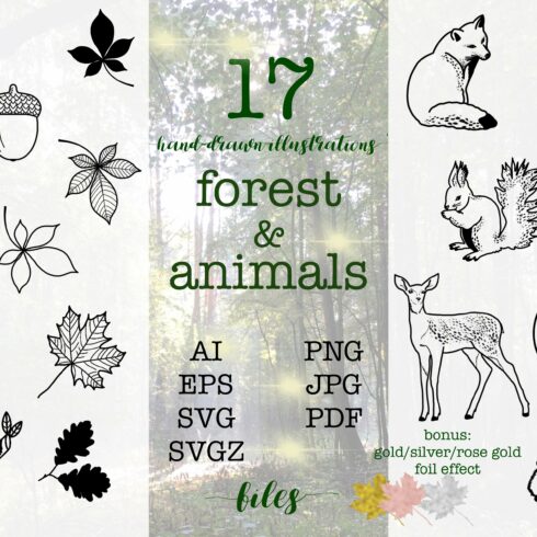 Forest animals vector and bitmap set cover image.