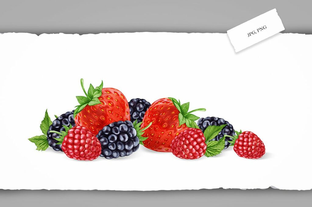 Berry Collection – MasterBundles