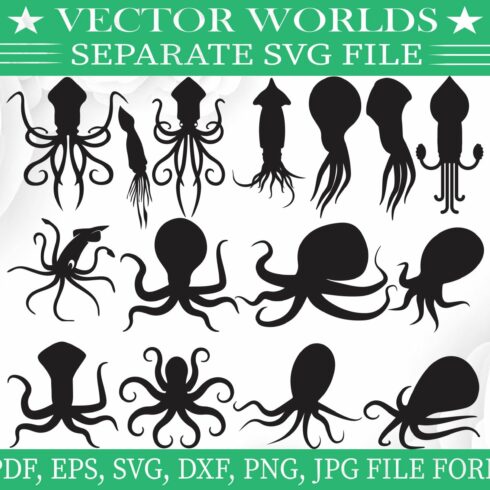 Squid  Svg, Water, Sea, Animal Svg cover image.