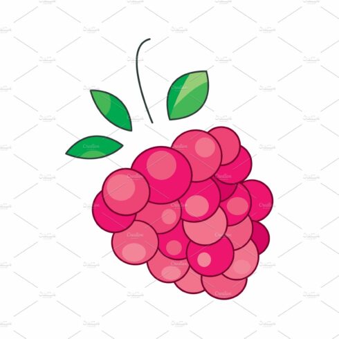 vector illustration. Raspberries cover image.