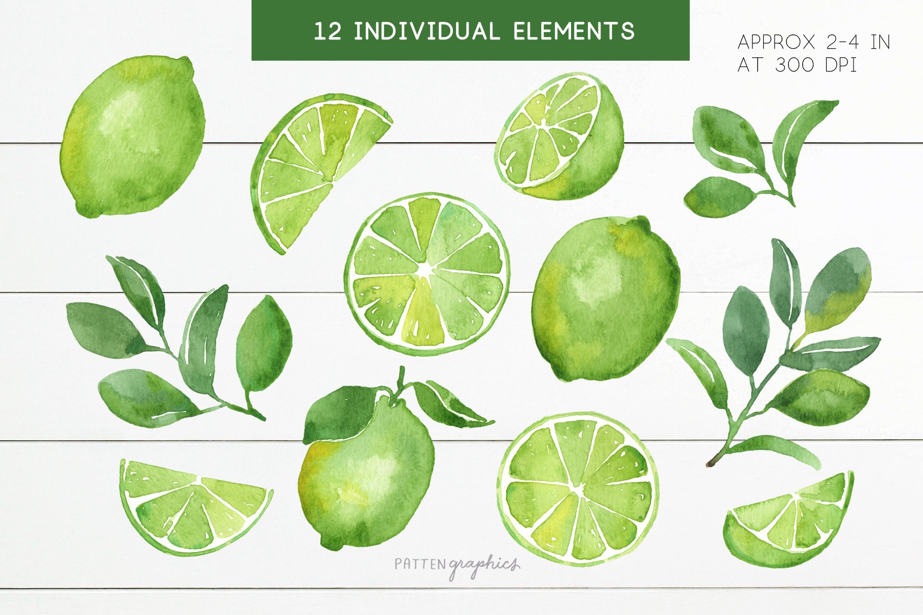 Watercolor Lime Citrus Fruit preview image.