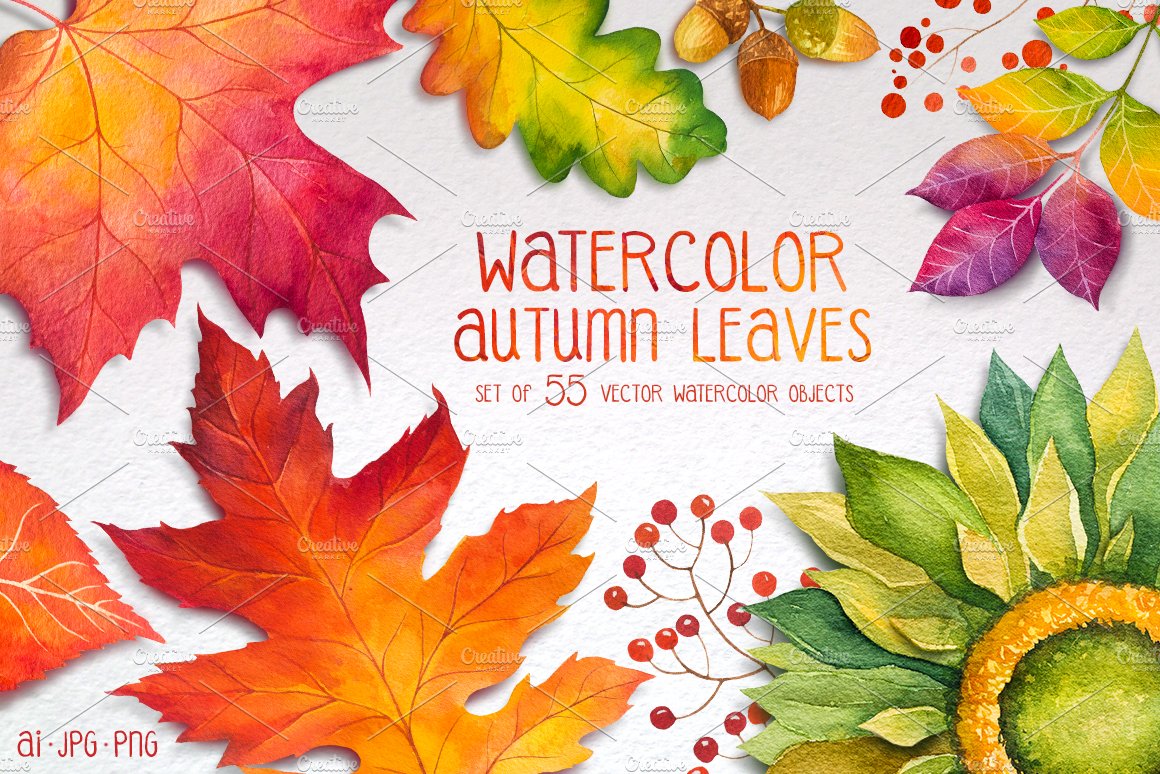 Autumn leaves. Watercolor set. cover image.