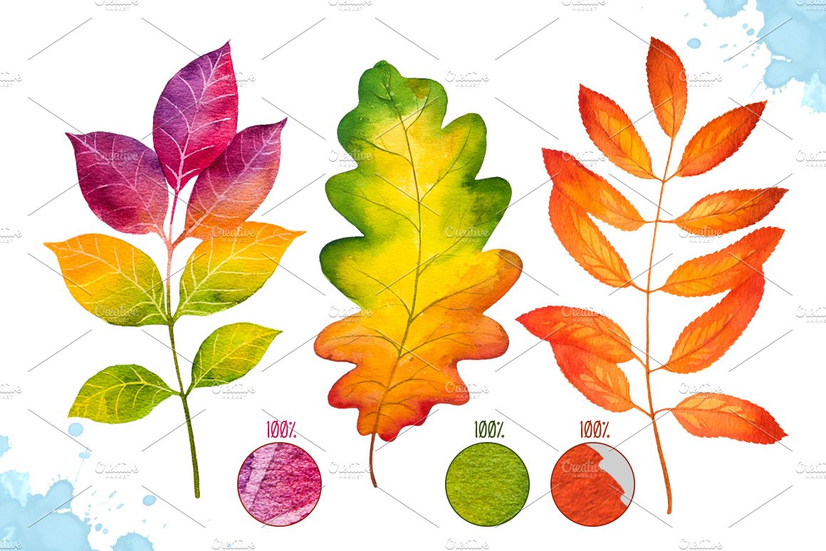 Autumn leaves. Watercolor set. preview image.