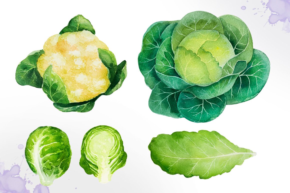 Watercolor vegetables preview image.