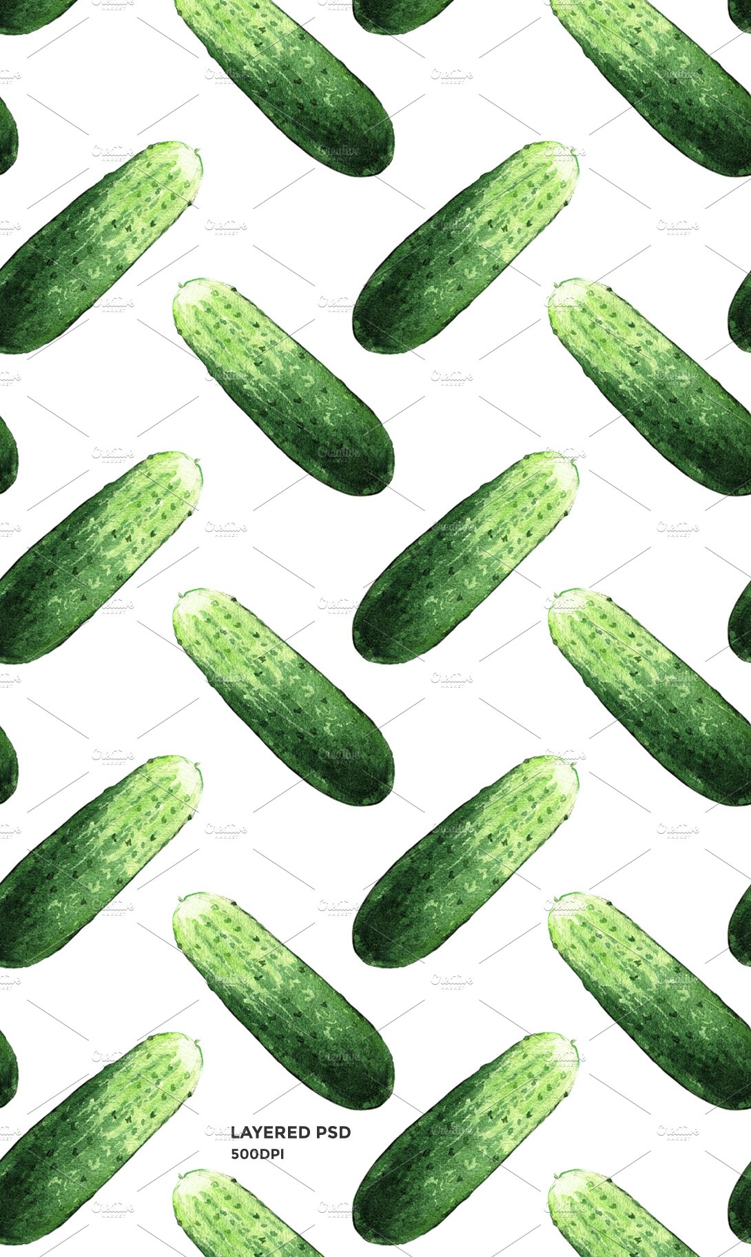 cucumber p3 662