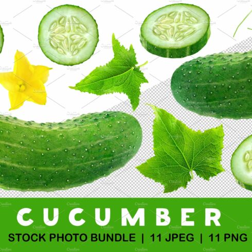Cucumber pieces, leaves and flower cover image.