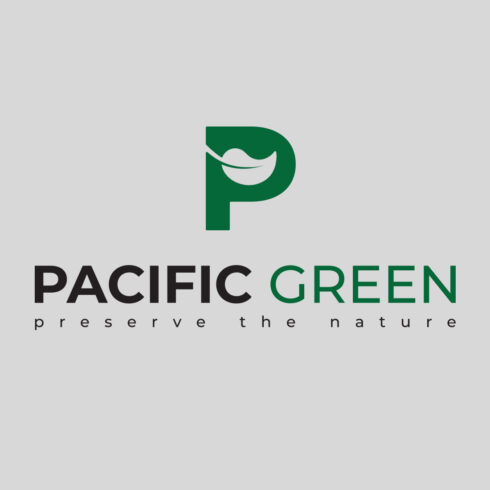 P Letter Logo cover image.