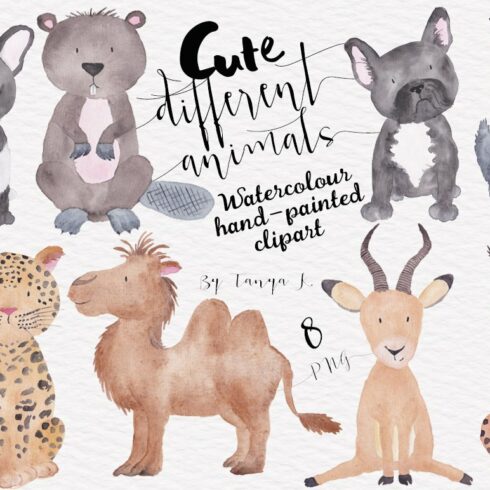Cute Different Animals Set cover image.