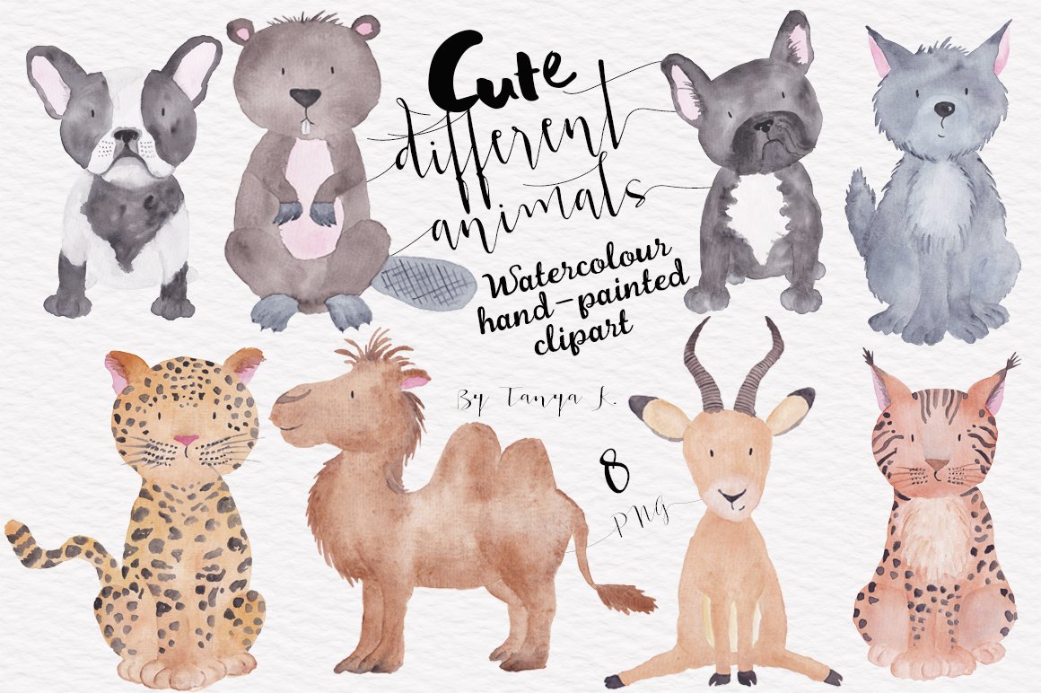 Cute Different Animals Set cover image.