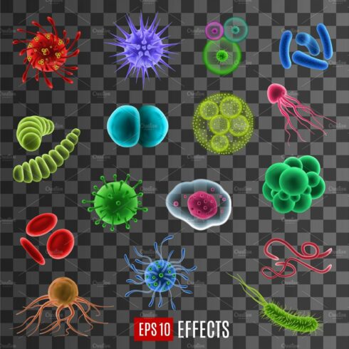 Virus cells, bacterias, germs cover image.