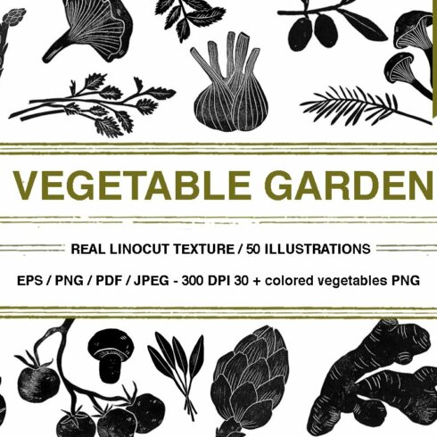 Vegetable garden cover image.