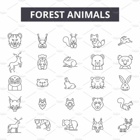 Forest animals line icons, signs set cover image.