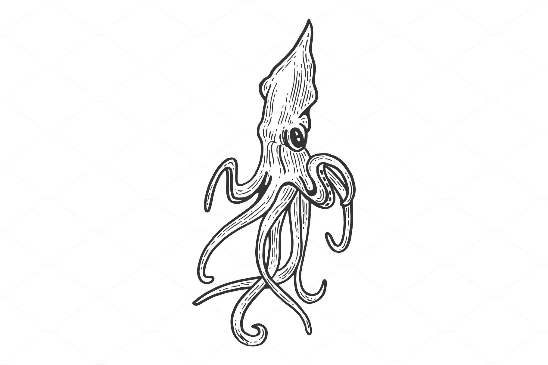 Squid animal sketch engraving vector cover image.